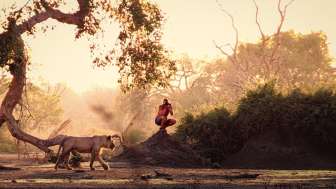 1756136267739KJ Okt25 Mrz26 630x300px S124[1]