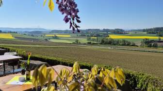 Tag der offenen Tür