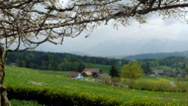 Aussicht Restaurant Berg