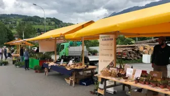 Buuramart mit Setzlingsständen