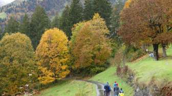 Flechtenlehrpfad Braunwald