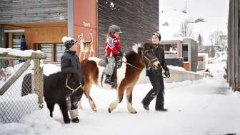 Reka-Feriendorf Urnäsch
