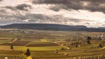 Hallau_Blauburgunderland_Winter