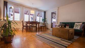 Nussbaumen Ferienwohnung Forstenegg Wohnzimmer