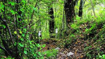 © Naturzentrum Glarnerland