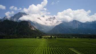 Weingut Familie Hansruedi Adank
