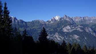 Aussicht