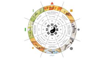 Baguagross2 zahlen 2