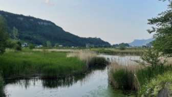 Blick auf den Egelsee in Mauren im Sommer mit grüner Ufervegetation, spiegelndem Wasser und ruhiger Naturkulisse.