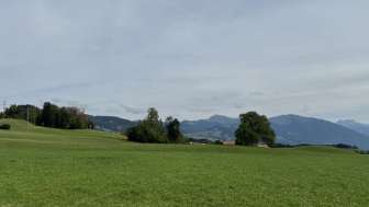 Aussicht Richtung Dorf