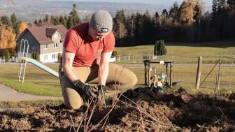 Natur verbindet – Heckenaufwertung in Hüttlingen