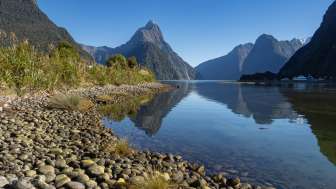 NZ191919 Verbessert RR