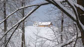 Besuch auf dem Bauernhof