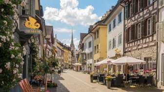 SteinamRhein_Altstadt_Lindwurm_Juni