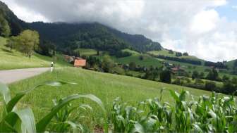 2026 - Jubiläum zu 25 Jahren Pilgerstamm