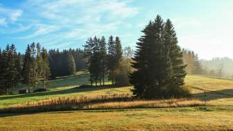 Wanderweg zu Hohen Hirschberg