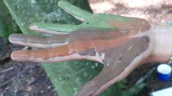 Bunte Naturfarben 7 2022