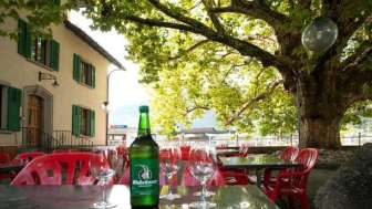 Gartenterrasse