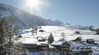 Stump's Alpenrose - Ski-In/Ski-Out