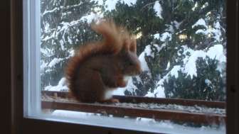 Haus Margrithli, Furt