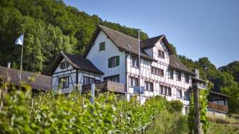 Restaurant Burg