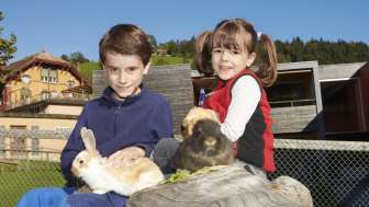 Tiere zum streicheln