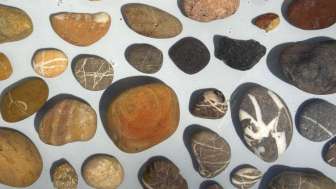 Mehr als nur klein, rund und grau