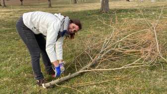 Natur verbindet – Heckenpflege und Wieselburgen in Tägershen