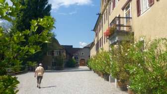 Schloss Salenegg