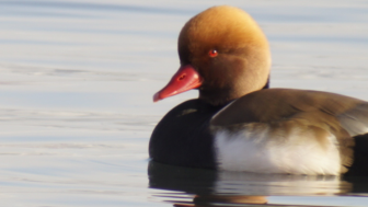 Kopie von Insta Standart 20231203 183508 0000