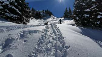 Aufstieg, der Sonne entgegen