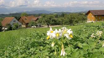 Hof Sicht von oberhalb