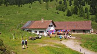 Blick auf die Alp Guschg Eingebettet in grünen Wiesen und Wald im Wintergrund