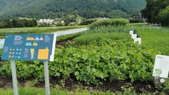 Blick auf den Weltacker Mauren mit einer blauen Info-Tafel im Vordergrund