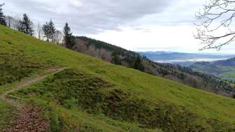 Aussicht CW