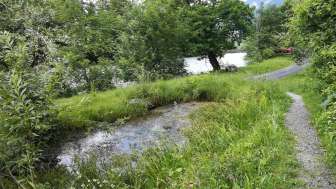 © Naturzentrum Glarnerland