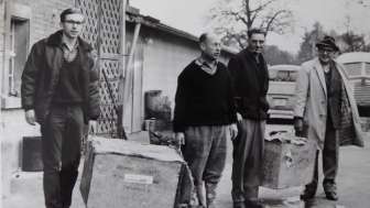 Bäume fällen, Dämme bauen, Burgen graben: 60 Jahre Biber im Thurgau