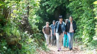 Waldweg