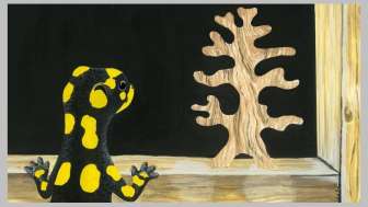 Annina Arter: The Salamander Room