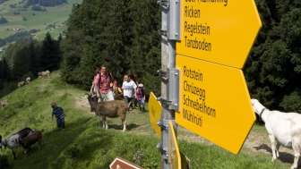 Bild von alter Webseite