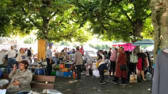 8d5b7481 3633 4f42 ba1c a98cd3ba3cb0